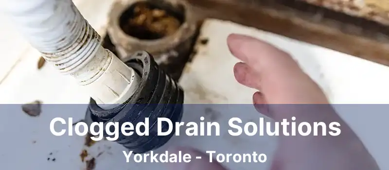  Clogged Drain Solutions Yorkdale - Toronto
