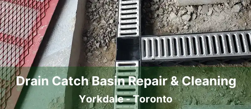 Drain Catch Basin Repair & Cleaning Yorkdale - Toronto