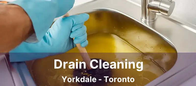  Drain Cleaning Yorkdale - Toronto