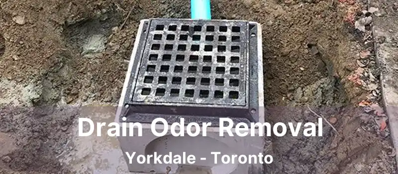  Drain Odor Removal Yorkdale - Toronto