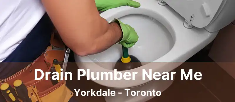  Drain Plumber Near Me Yorkdale - Toronto