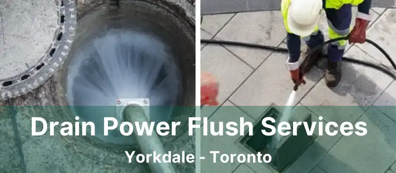  Drain Power Flush Services Yorkdale - Toronto