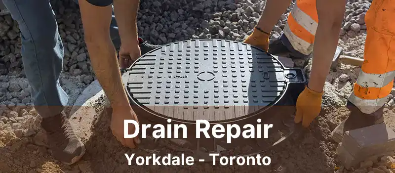  Drain Repair Yorkdale - Toronto