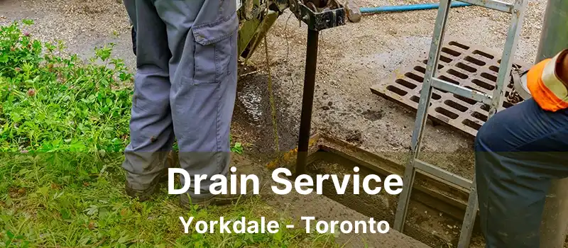  Drain Service Yorkdale - Toronto