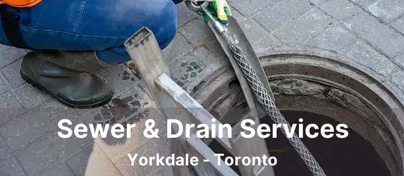  Sewer & Drain Services Yorkdale - Toronto