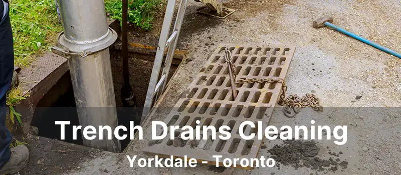  Trench Drains Cleaning Yorkdale - Toronto