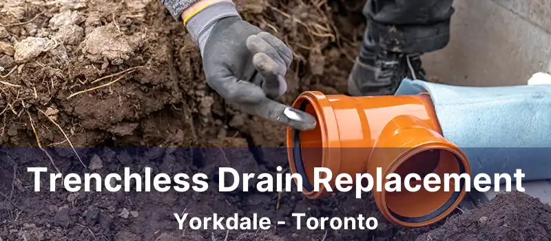  Trenchless Drain Replacement Yorkdale - Toronto